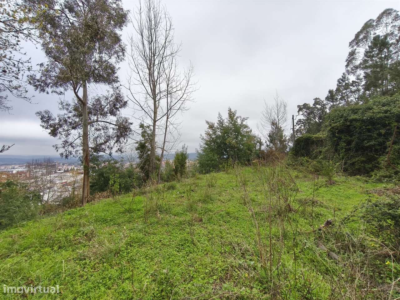 Terreno p/ Construção - Lousã - Grande imagem: 5/16