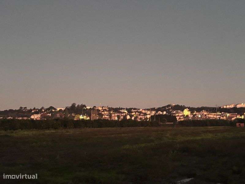 Terreno 10920 m2 Chamusca junto Rio Tejo - Grande imagem: 5/6