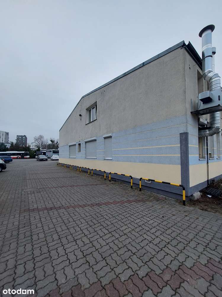 ok.Lechickiej 182m2, parter budynku usługowo-biurowego,parking - Pełny obrazek: 4/4