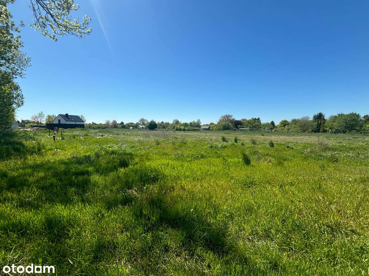 Duża działka z Miejscowym Planem ! - Pełny obrazek: 4/5