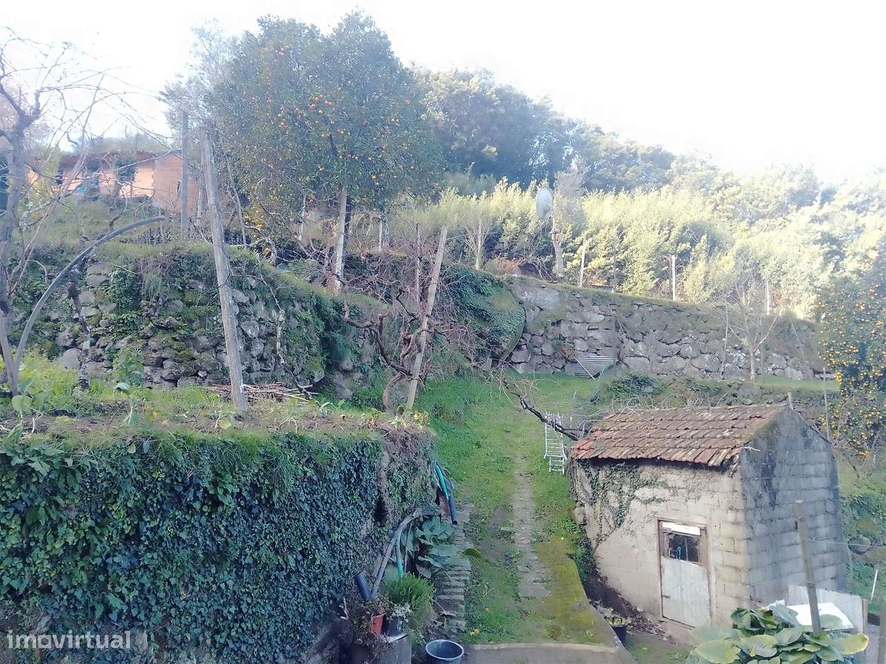 Terreno Rústico em Cinfães - Viseu Venda de Terreno em Cinfães - Viseu - Grande imagem: 4/28