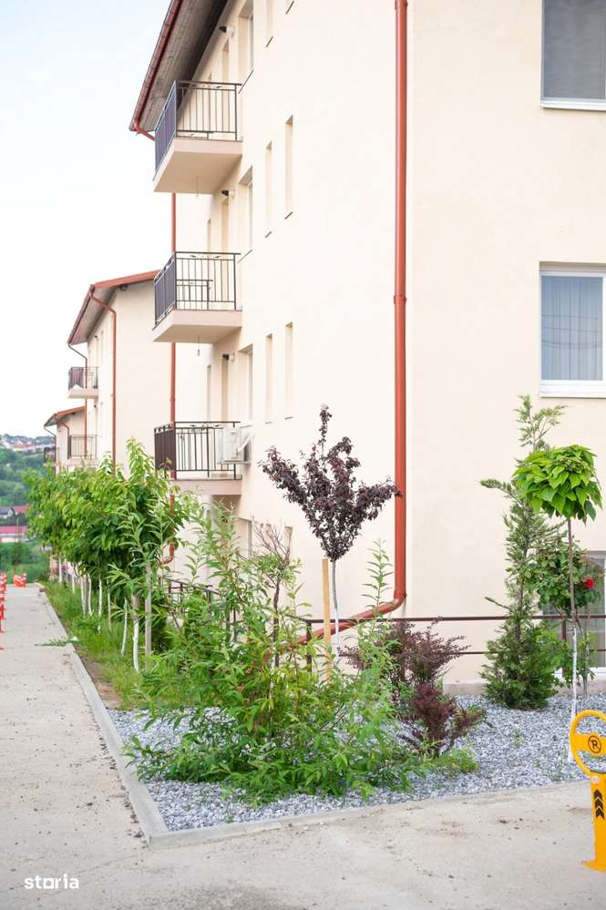 Apartament 1 camera Valea Lupului-5