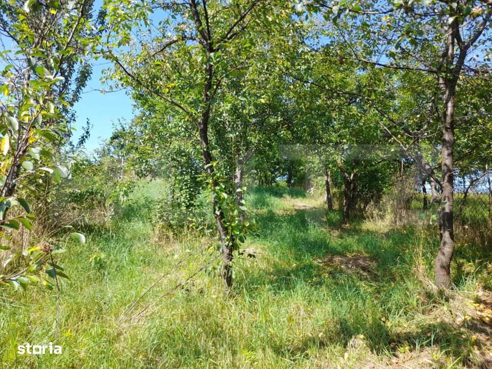 Casa individuala, 700mp, terasa, Nasaud - Imagine principală: 2/11