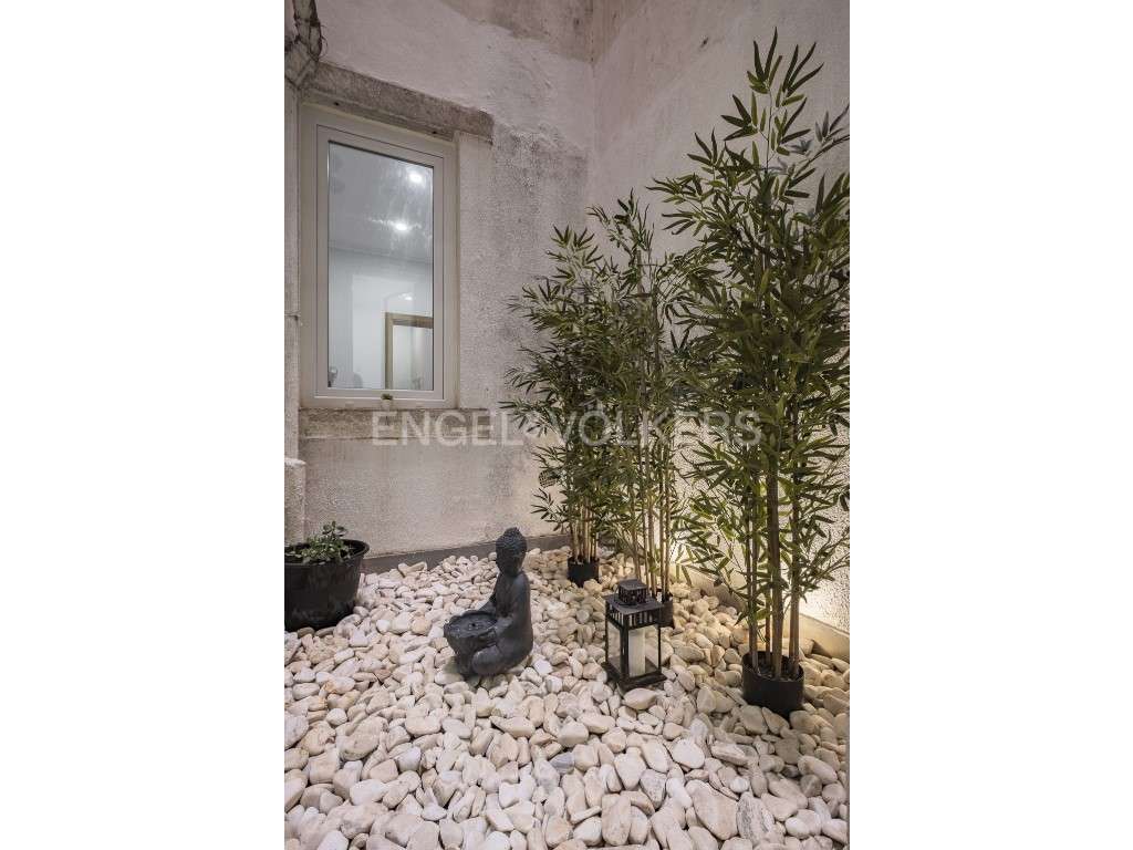 T4 remodelado com terraço e jardim Anjos / Arroios-26