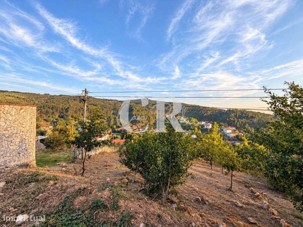 Moradia em pedra com 4 quartos, logradouro e terreno agrícola-26