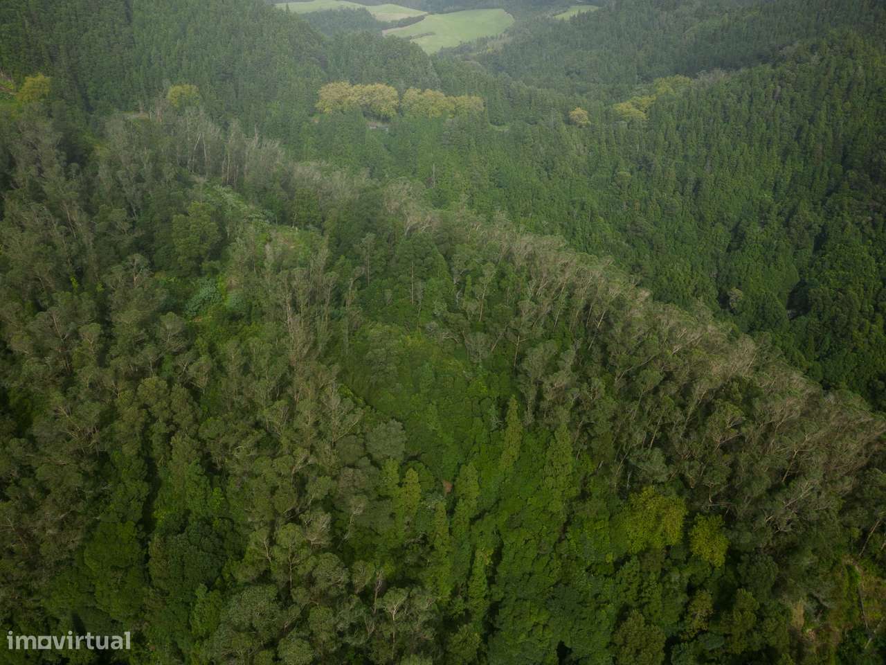 Terreno com Projeto Turístico nas Furnas-1