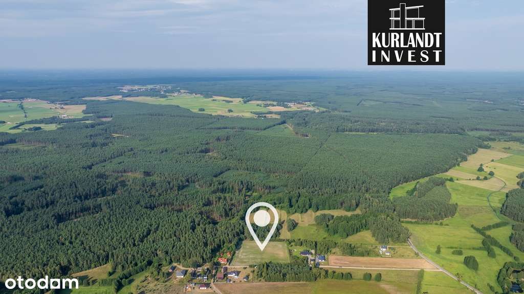 Działka budowlana 3682m² w sercu Borów Tucholskich - Pełny obrazek: 4/11