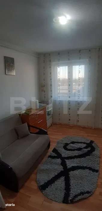 Camera camin mobilata cu potential de investitie - Imagine principală: 3/3