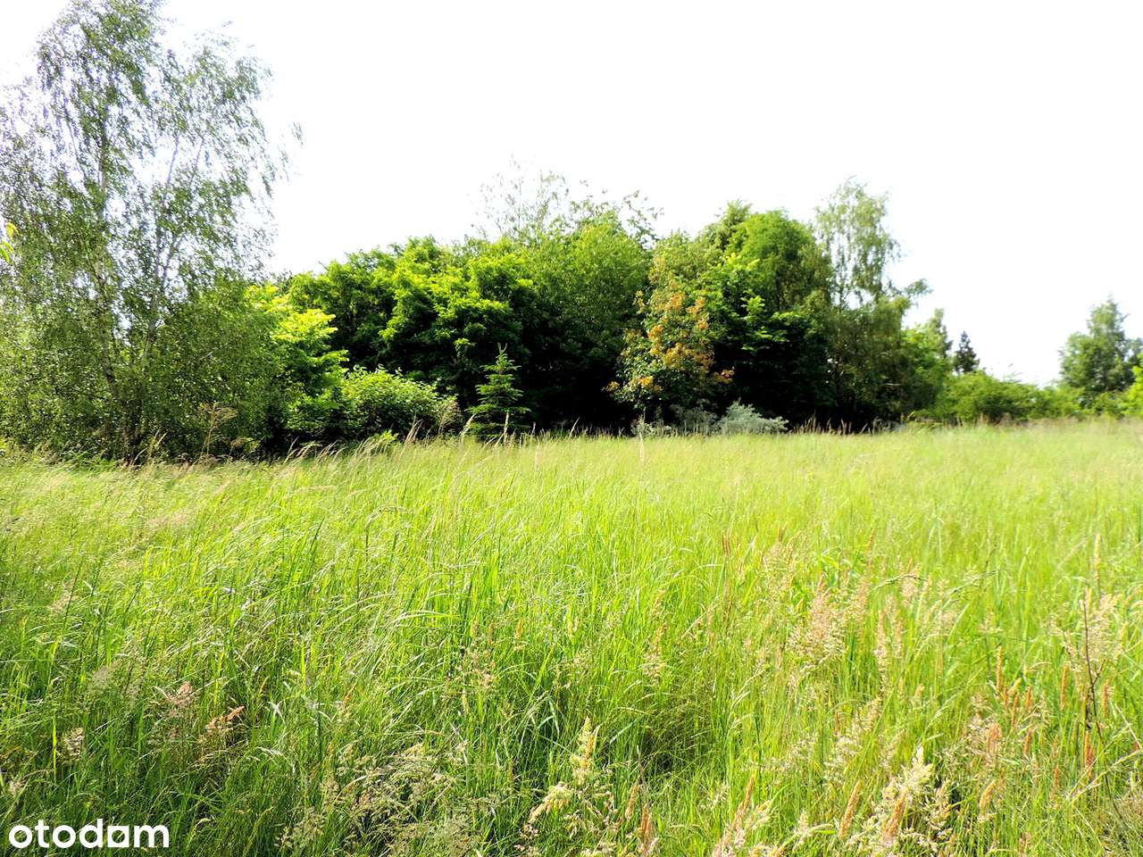 Twoje miejsce na wymarzony dom – Jakubowice Konińskie Kolonia 1956 m²-3