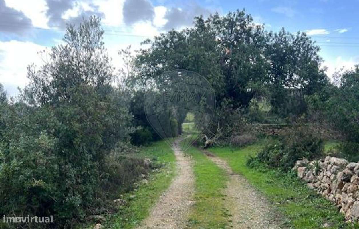 Terreno  para venda - Grande imagem: 3/9