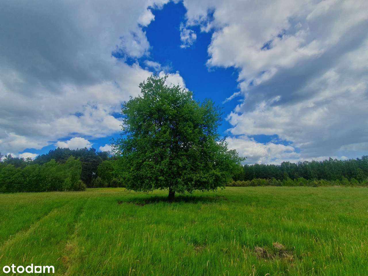Malownicze działki budowlane w otulinie leśnej-9