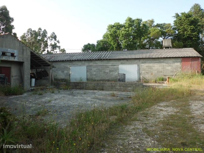 Andar Moradia T4 Venda em Cadima,Cantanhede-13