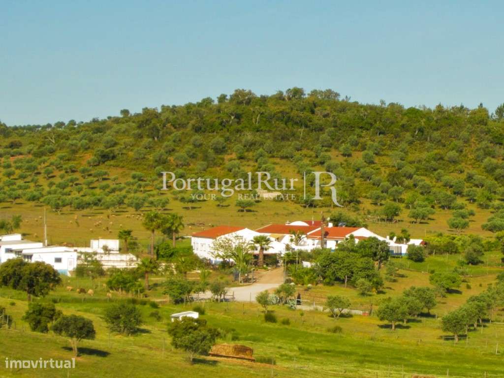 Herdade com 21ha perto do Lago Alqueva - Grande imagem: 2/56
