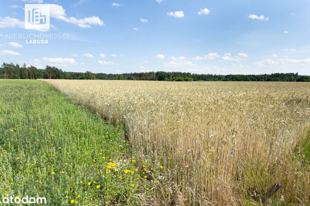 Działka budowlano - rekreacyjna - Pełny obrazek: 5/9