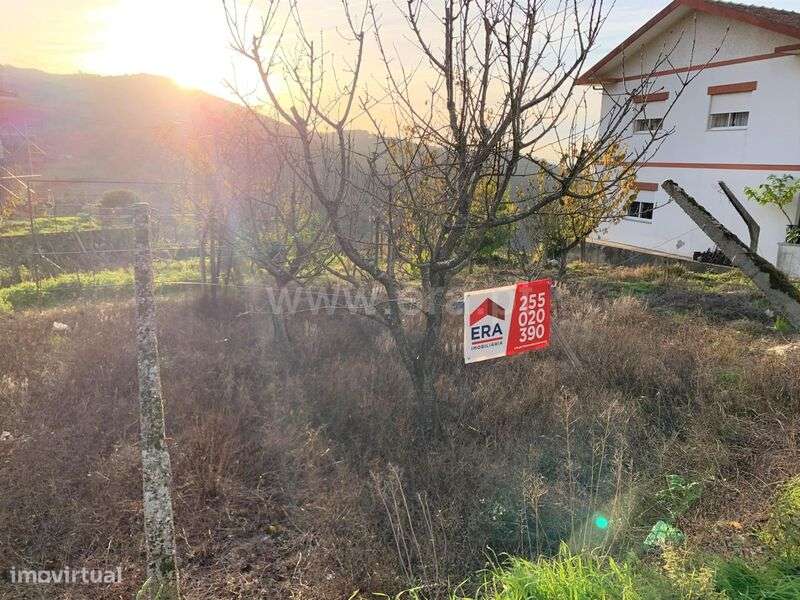 Terreno / Resende, Anreade e São Romão de Aregos - Grande imagem: 5/7