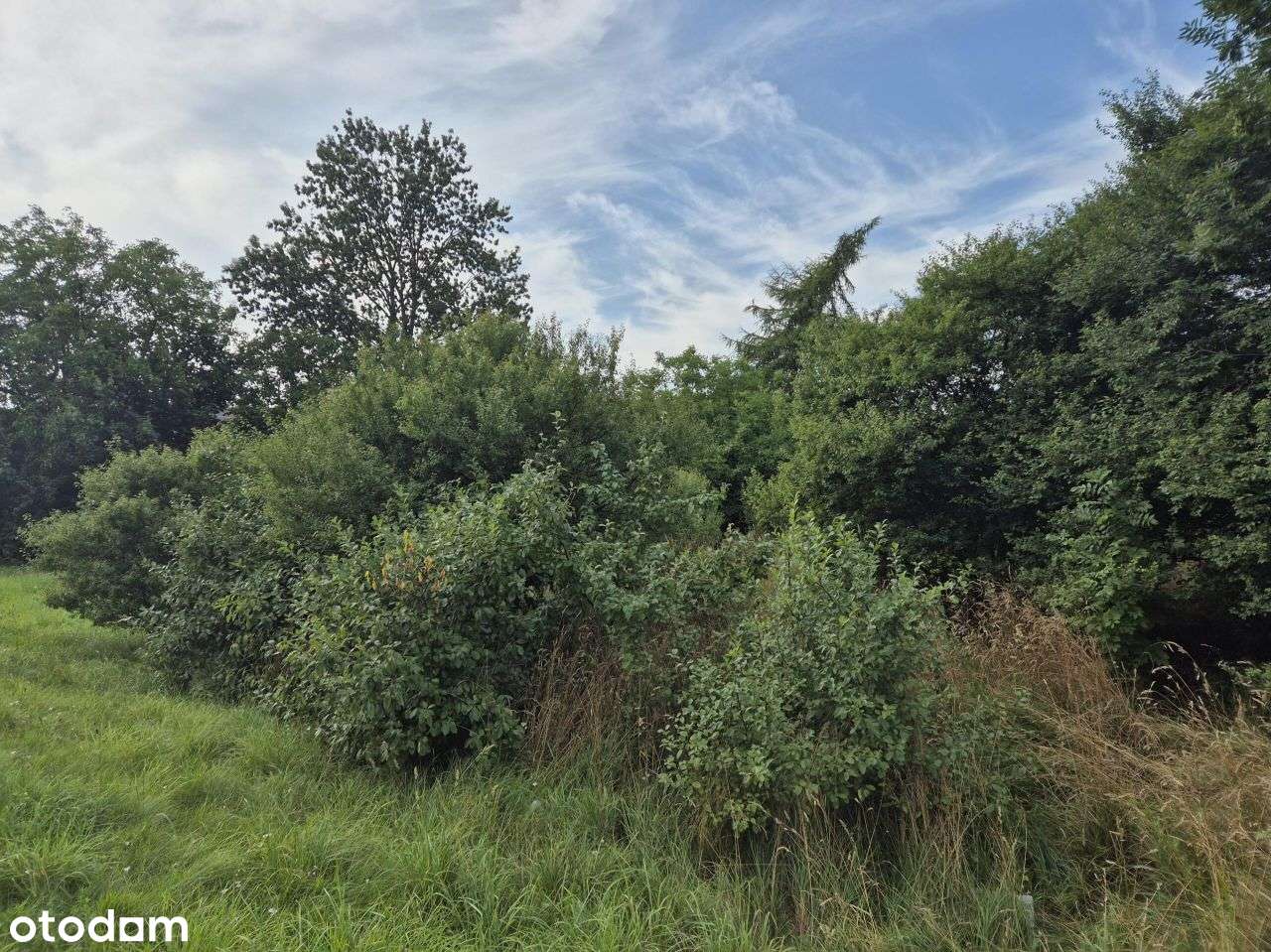 Działka, 719 m², Wejherowo-4