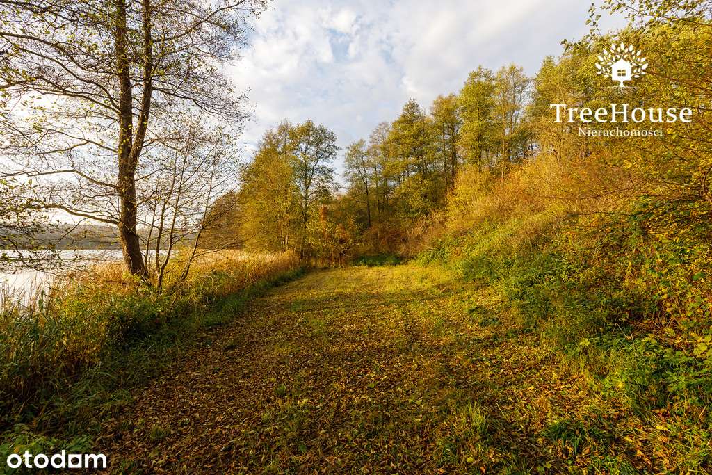 Działka siedliskowa z linią brzegową jeziora - Pełny obrazek: 5/16