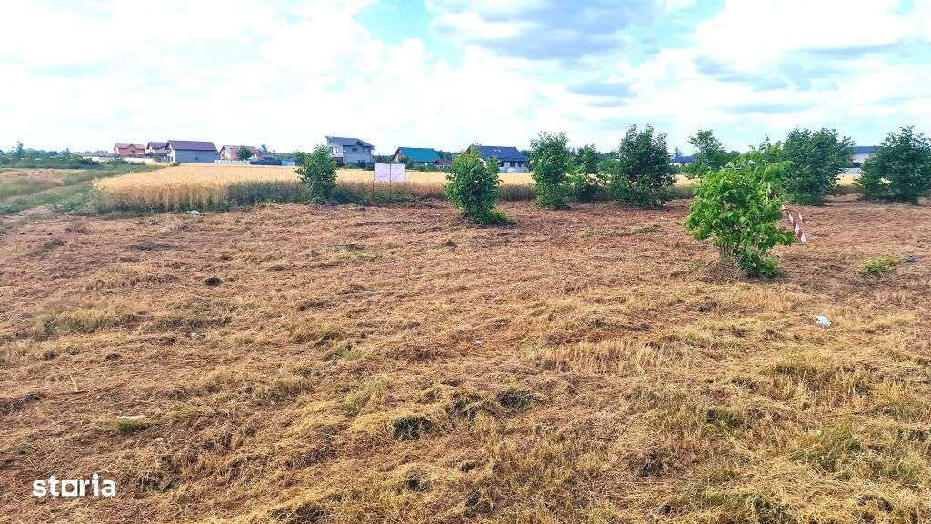 Teren intravilan Crevedia, Manastirea, 500mp - 17.000 euro, 0%comision-16