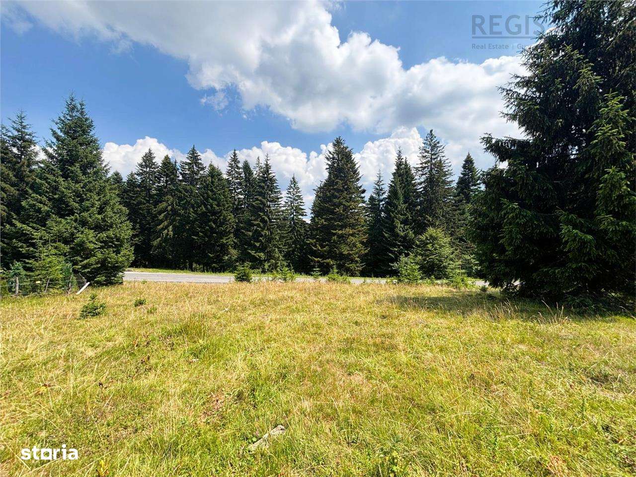 Teren Intravilan 1000MP Utilitati 3 Brazi Predeal - Imagine principală: 3/6