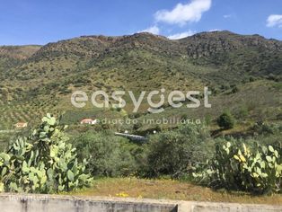 Magnifico terreno agrícola com 223604 m2 junto o Rio Douro. - Grande imagem: 5/17