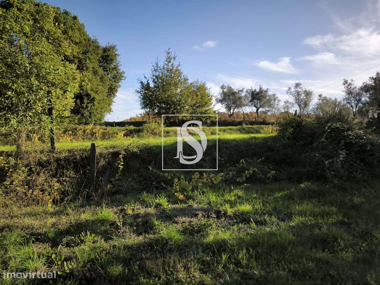 Terreno Rústico com capacidade construtiva em Oliveirinha-9