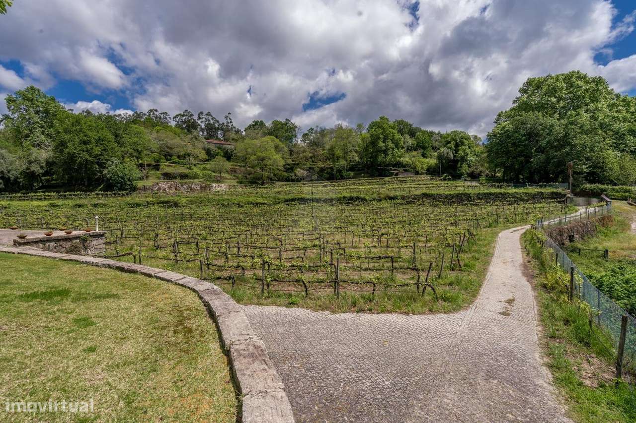 Quinta com Vinha Produtiva e Potencial Turístico junto ao Gerês-8
