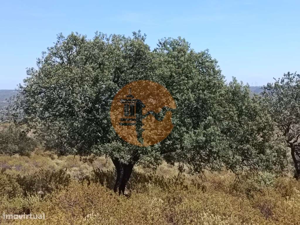 TERRENO COM VISTA RIO - COM 11.920 M2 PRÓXIMO A FOZ DE ODELEITE - C... - Grande imagem: 5/27