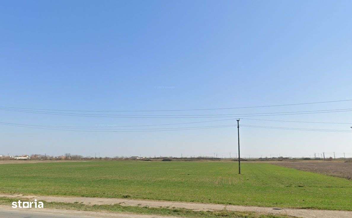 Teren intravilan 10.000 mp - Sannicolau Mare - Imagine principală: 5/6