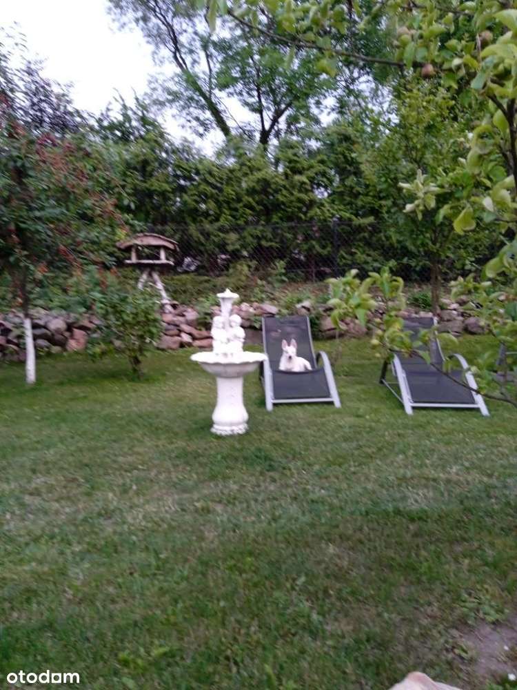 Piekny wolnostojący rekreacyjno-mieszkalny dom nad jeziore - Pełny obrazek: 2/17