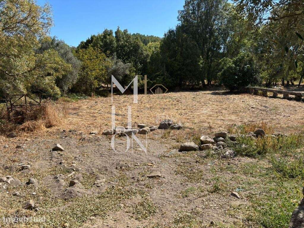 Quinta com 10 hectares — Tranquilidade, potencial e múltiplas valência-8