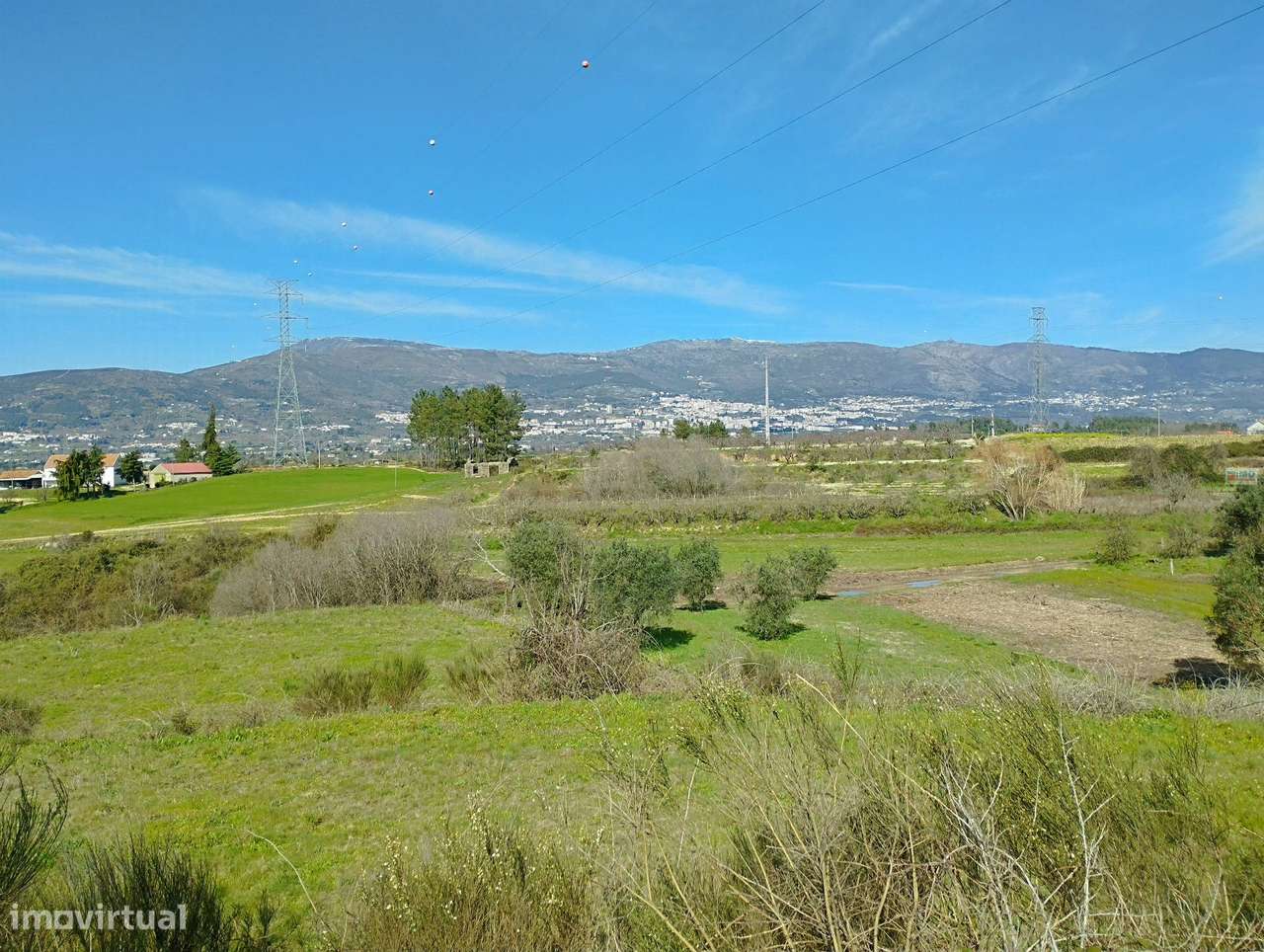 Quinta/Terreno - Monte Serrano - Ferro - Grande imagem: 4/7