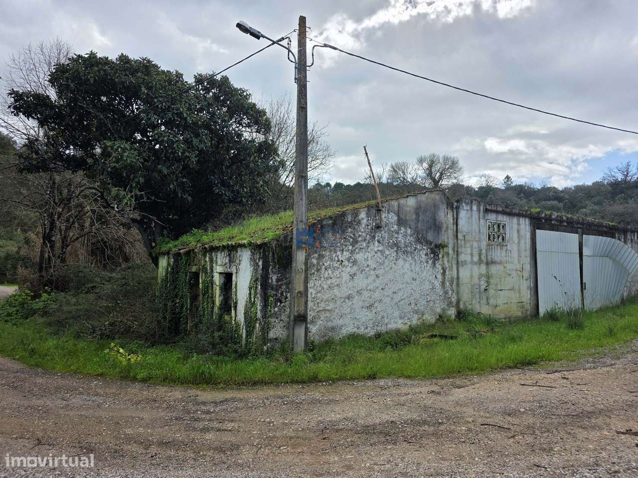 Misto de terrenos urbanos e rústicos na Zibreira, Torres Novas. - Grande imagem: 5/17