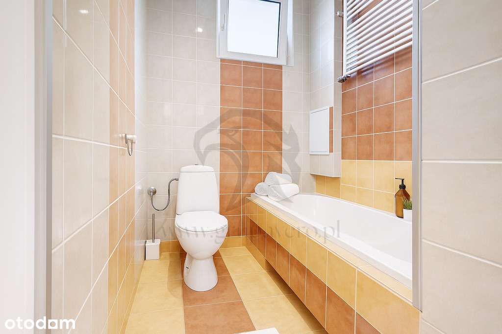 Twoja opowieść w koronach drzew - Pełny obrazek: 3/20