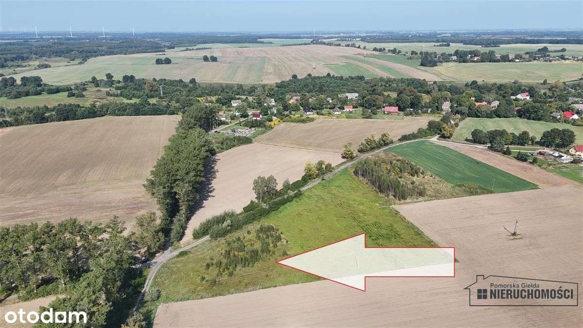 Bielikowo - działka na raty - około 20 minut od Ba - Pełny obrazek: 5/20