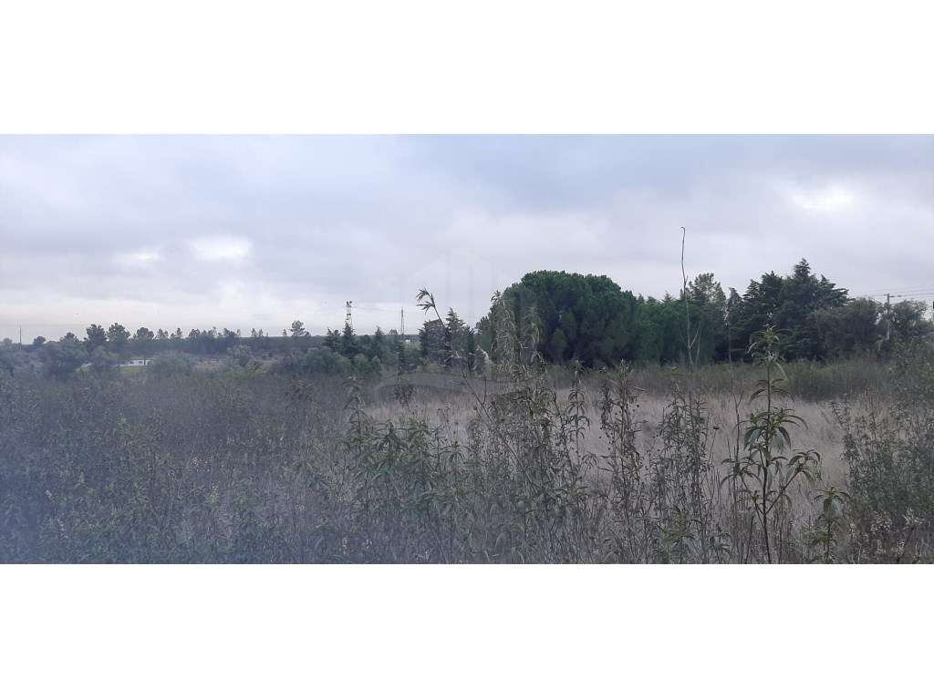 Terreno com 15.000 m² em Plena Natureza na Região de Palmela-11