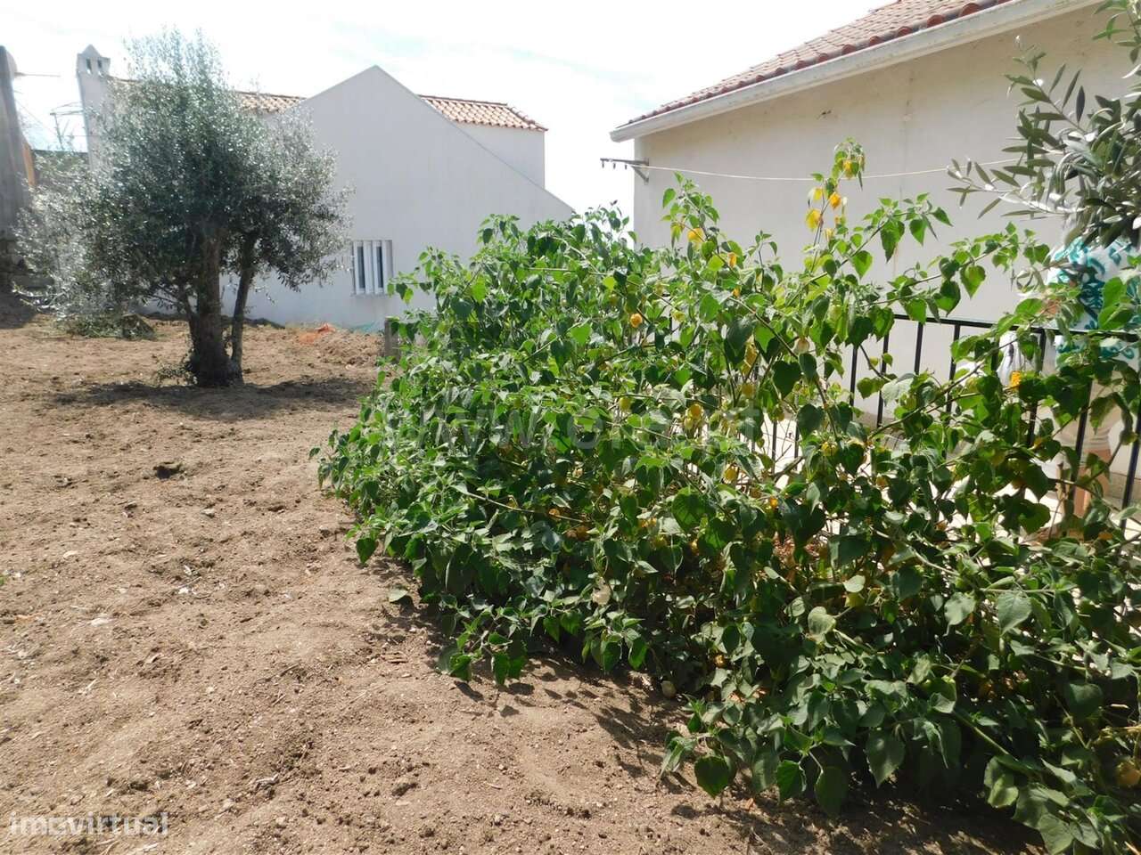 Moradia T2 / Seia, Seia-13