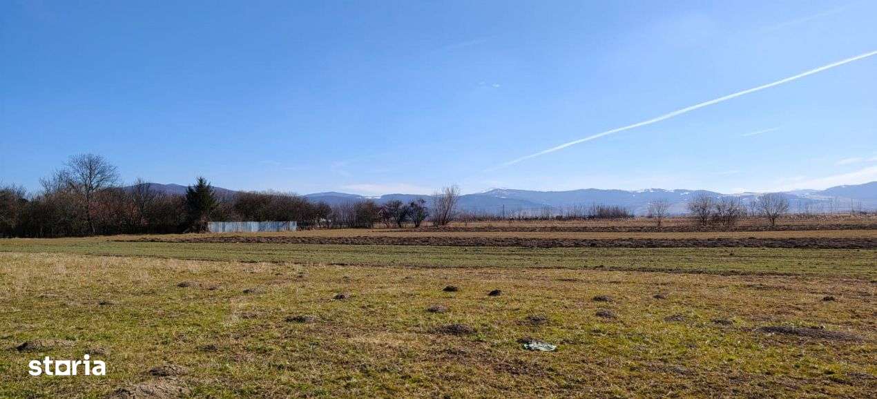 Lot de teren generos in zona linistita si usor accesibila-3