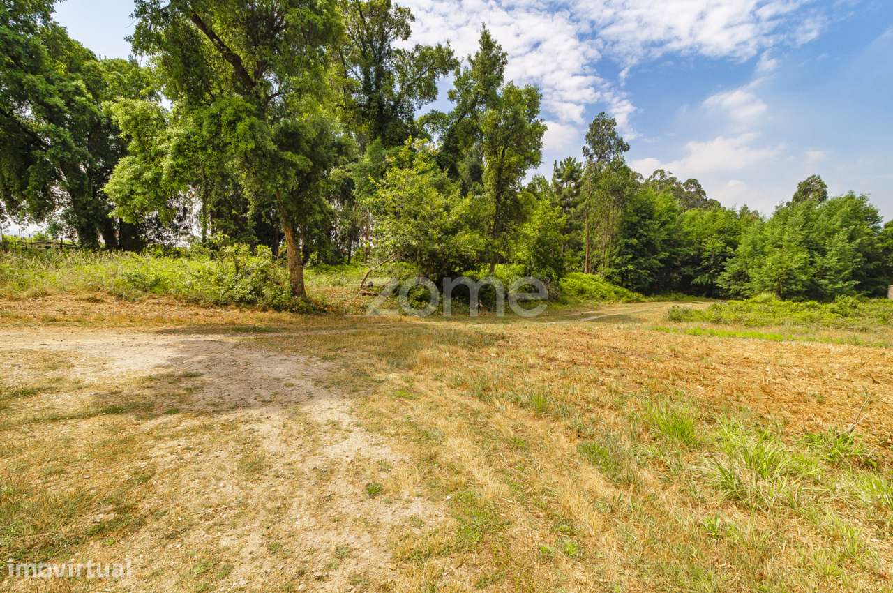 Terreno de construção com 1,5 ha, com projeto, Caldinhas, Santo Tir... - Grande imagem: 5/21
