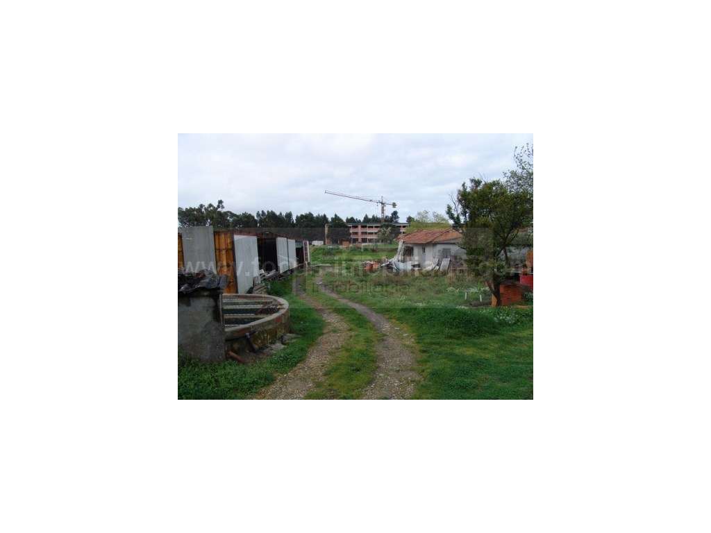 Terreno com moradia para venda - Esgueira - Grande imagem: 4/6