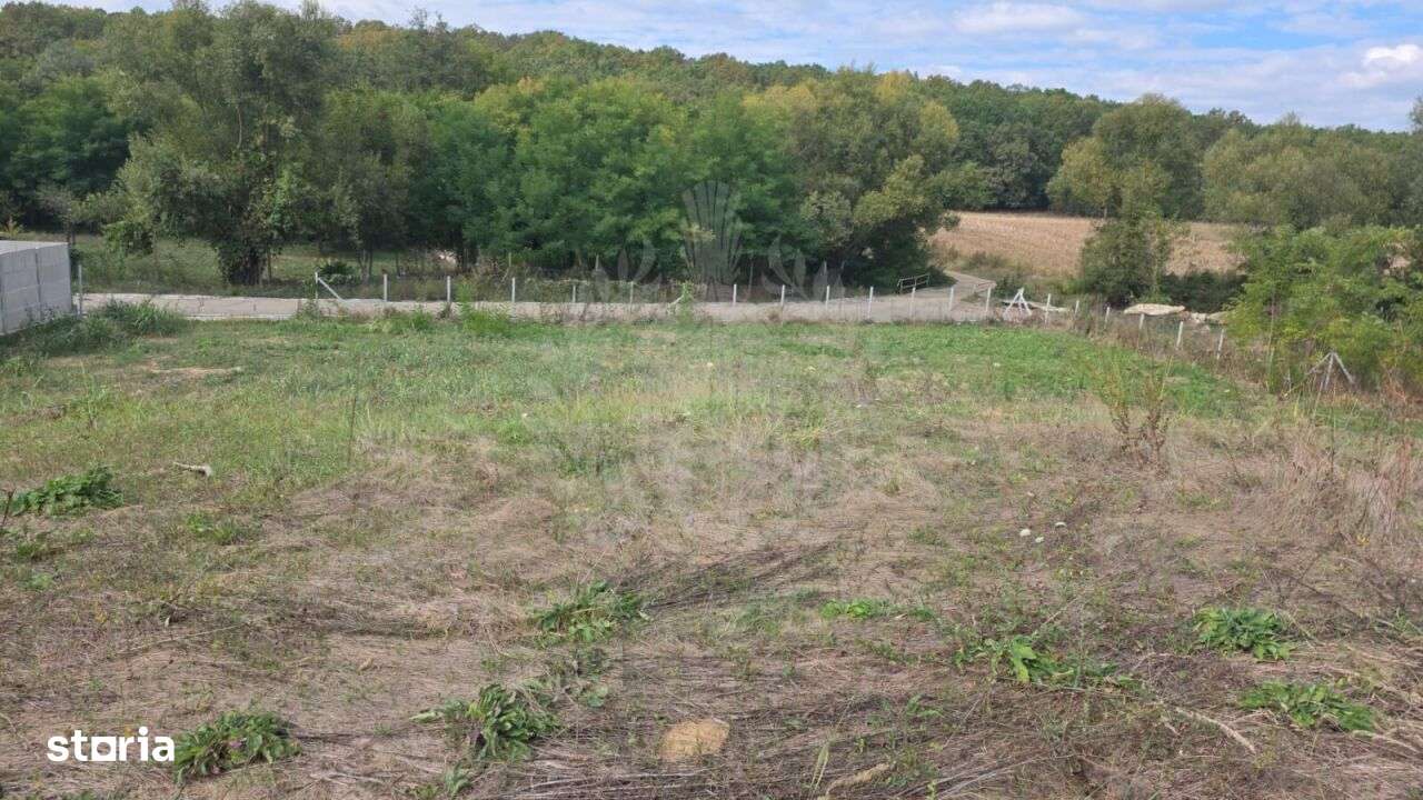 TEREN INTRAVILAN//COM. PLOPU//1300//2700 MP - Imagine principală: 3/8