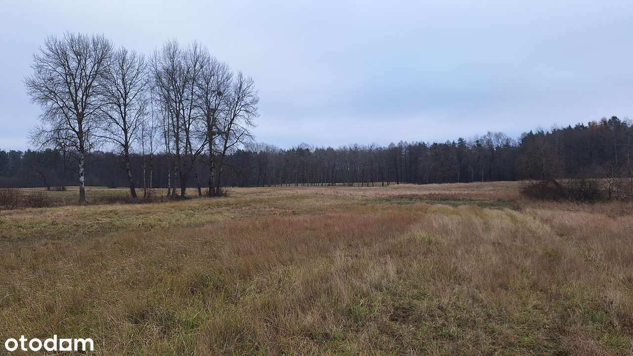 Kompleks 3 działek koło Stargardu-5