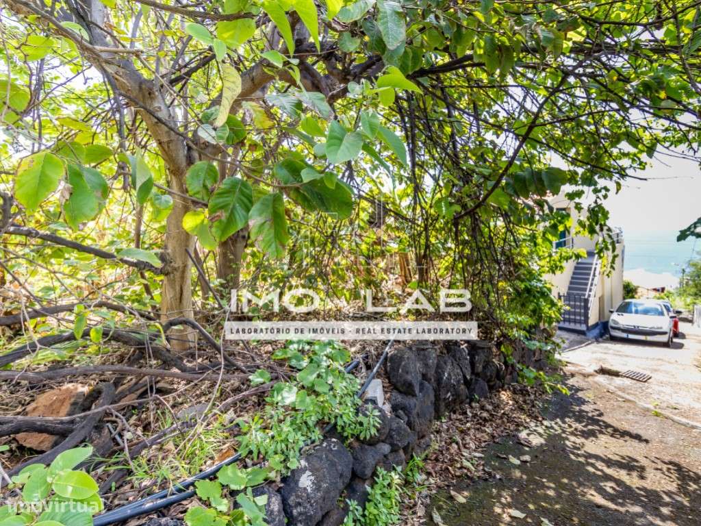 Terreno com 1130m2 - Santa Cruz - 3 minutos do Aeroporto - Grande imagem: 4/7