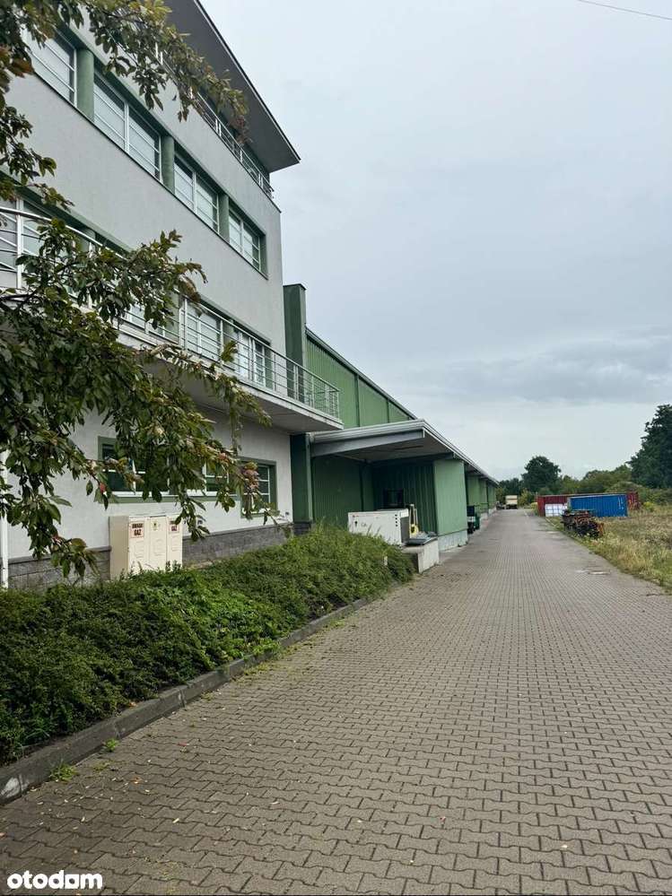 Powierzchnie magazynowych 200m2 /250m2 /450m2 Armii Krajowej 2 - Pełny obrazek: 4/14