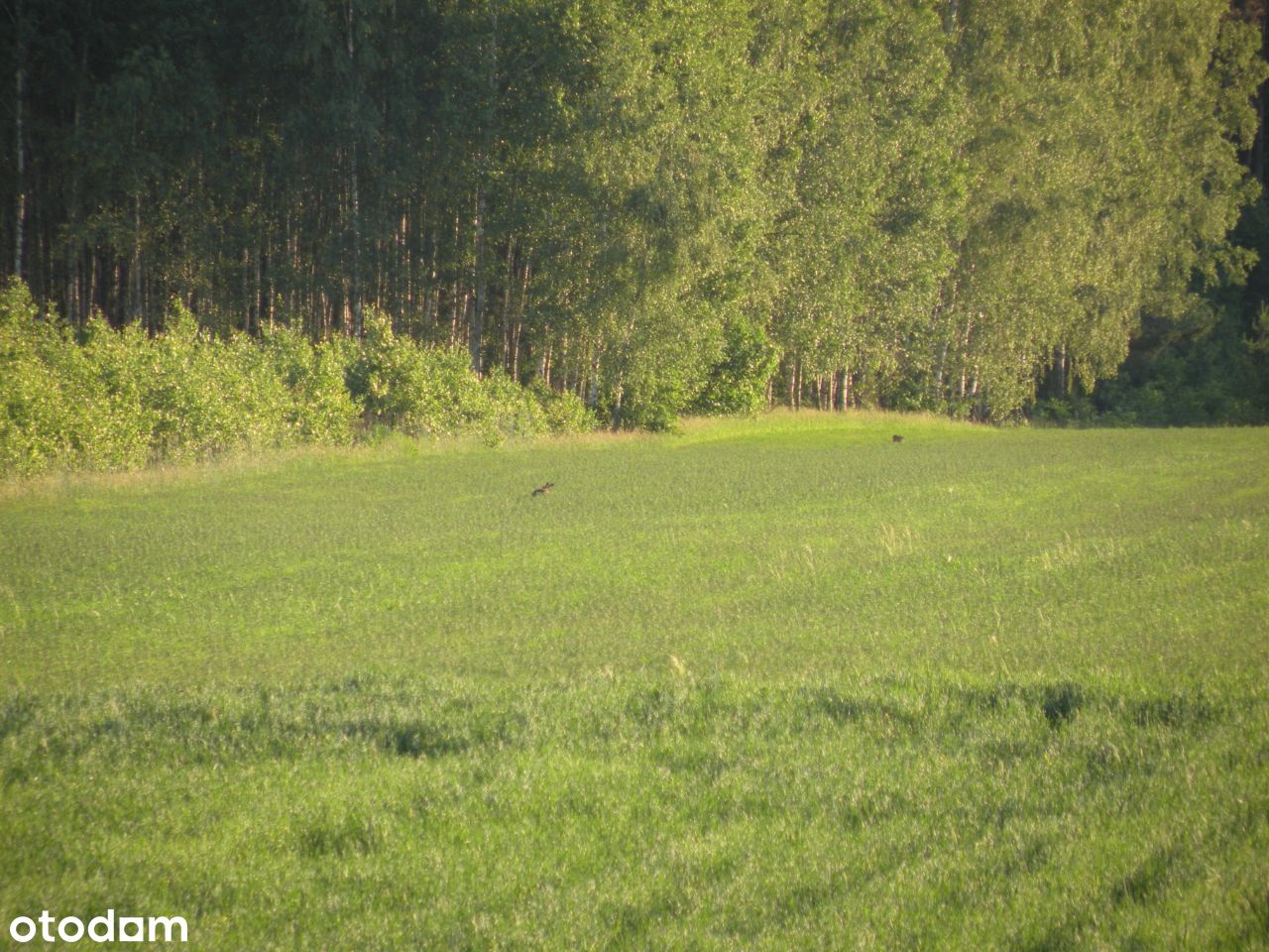 Pięknie położona działka budowlana - 1,194 ha