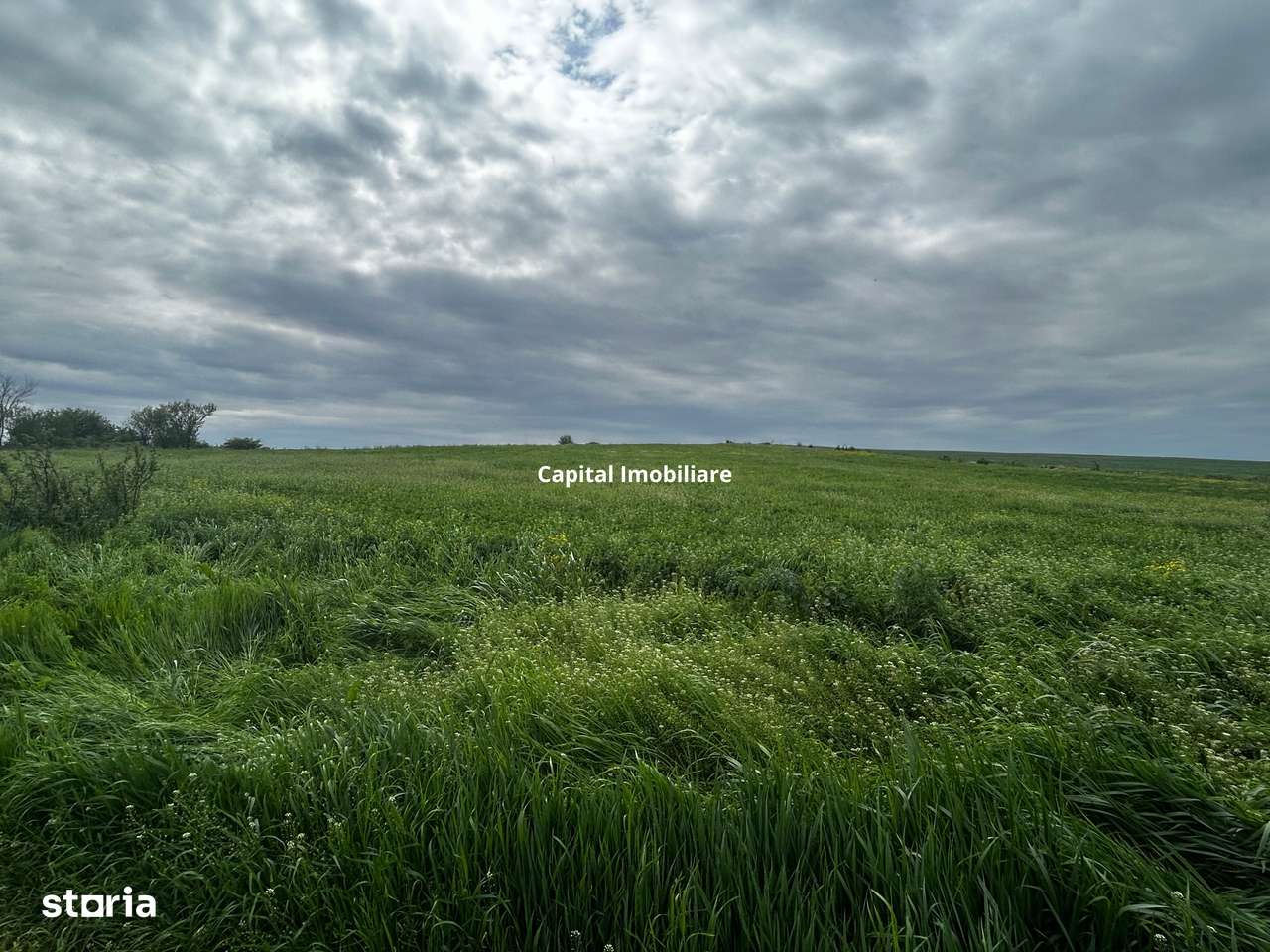 Teren de vânzare Bals Com. Voineasa, Sat Racovita - Imagine principală: 2/3