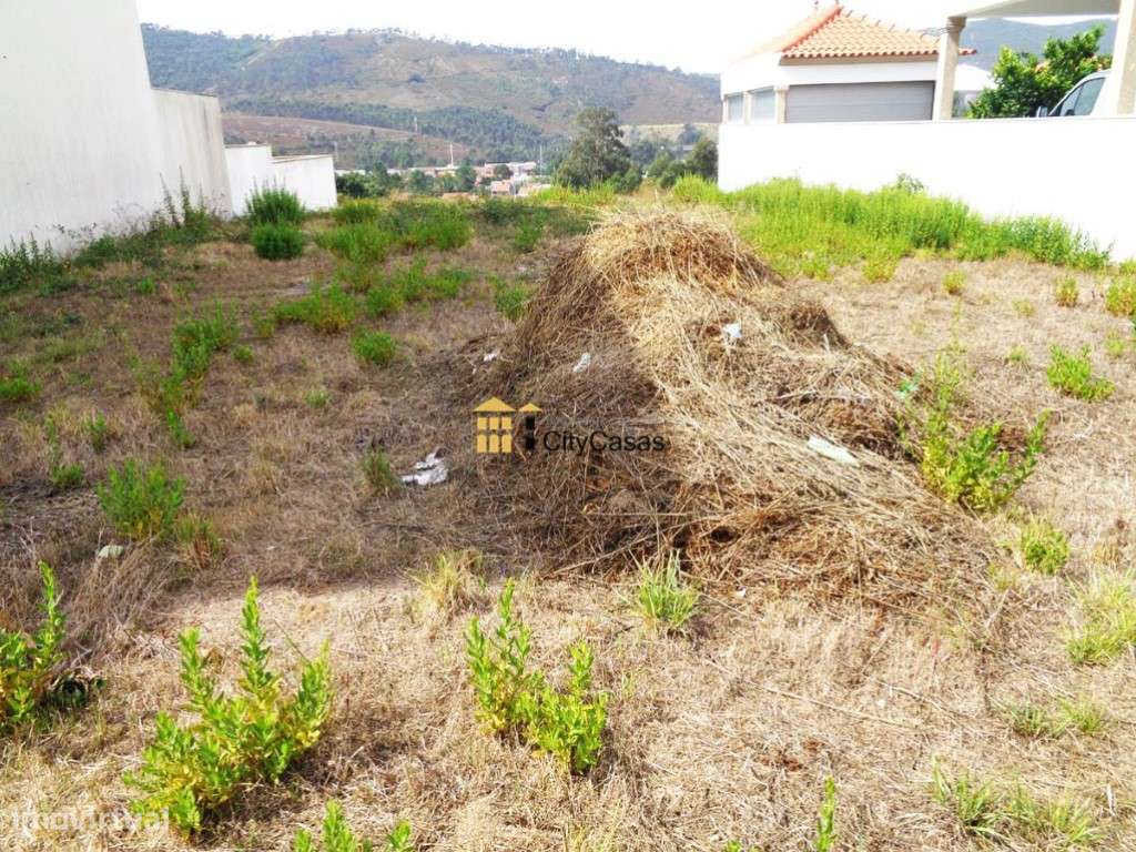 Terreno p/ Construção de Moradia | Campo - Grande imagem: 2/8