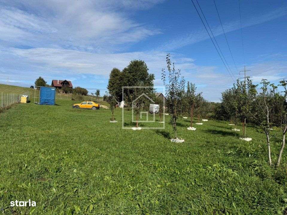 Teren intravilan 2020 mp cu deschidere 24 ml in zona Tocile - Imagine principală: 4/7