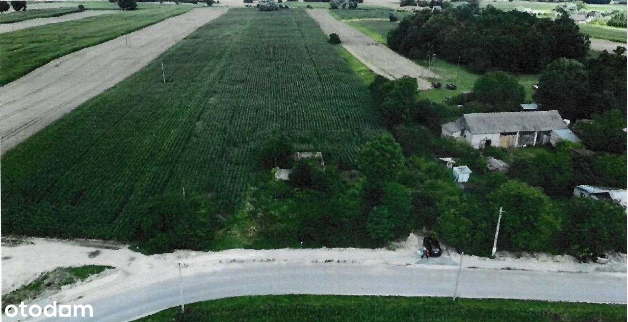 Działki w Kamień Kolonia (cena do negocjacji) - Pełny obrazek: 3/15