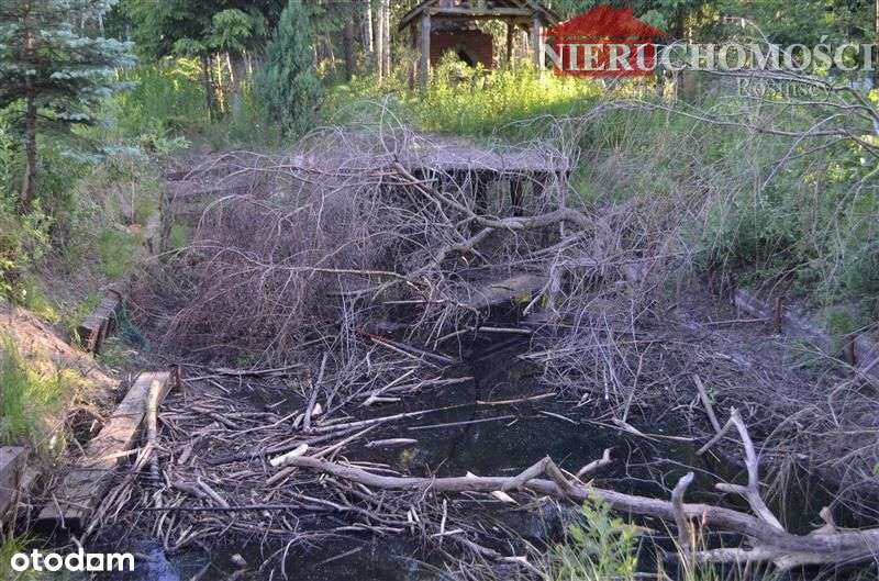 Działka budowlana Ciemne / Radzymin. Pow:1400m2 - Pełny obrazek: 4/6