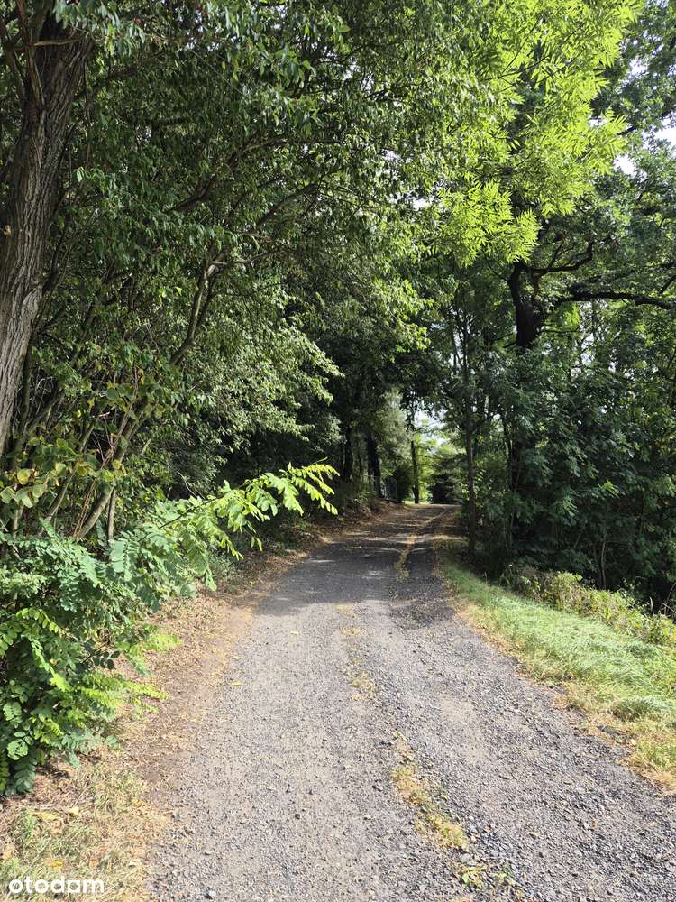 Sprzedam gospodarstwo rolne-0